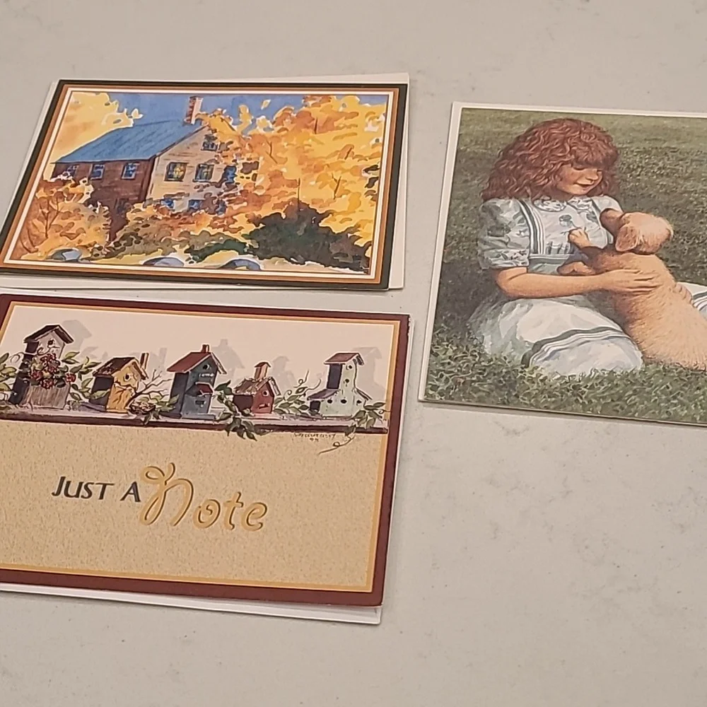 Bundle of 8 New Blank Greeting Cards